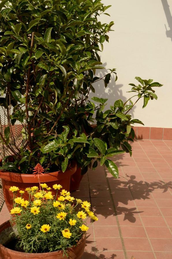 Terrazza Eurialo Apartment Napoli Ngoại thất bức ảnh